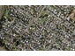 20C Saxon Street, Waterview, Auckland - Carousel 1