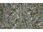 29B RAINES AVE, Forrest Hill, Auckland - Carousel 1