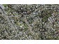 2B Garner Place, Glenfield, Auckland - Carousel 1