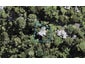 35 York Road, Titirangi, Auckland - Carousel 1