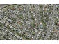 7 Warwick Street, Morningside, Auckland - Carousel 1