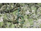 17 Hobbs Road, Matakatia, Whangaparaoa - Carousel 1