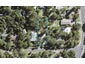 4 Brownie Road, Laingholm, Auckland - Carousel 1