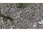 6 Massey Street, Westown, New Plymouth - Carousel 1