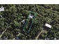 86 Fairview Crescent, Omiha, Waiheke Island - Carousel 1