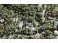 5 Rayner Road, New Lynn - Carousel 1