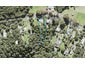 52 Mountain Road, Henderson Valley, Auckland - Carousel 1