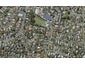 81A Udys Road, Pakuranga, Auckland - Carousel 1