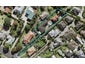 9A Olsen Avenue, Hillsborough, Auckland - Carousel 1