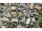7 Hoya Court, Henderson, Auckland - Carousel 1