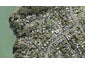 63 Brigantine Drive, Beach Haven, Auckland - Carousel 1