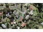 14 Mioweka Lane, West Harbour, Auckland - Carousel 1
