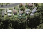 29C West Harbour Drive, West Harbour, Auckland - Carousel 1