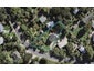 64 Te Toki Road, Ostend, Waiheke Island - Carousel 1