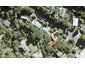 41A Cochrane Avenue, Arkles Bay, Whangaparaoa - Carousel 1