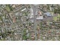 2/57 James Laurie Street, Henderson, Auckland - Carousel 1