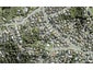 22 Ian Sage Avenue, Torbay, Auckland - Carousel 1