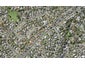 112 Hutchinsons Road, Bucklands Beach, Auckland - Carousel 1