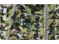 13 Nekuneku Lane, Mount Roskill, Auckland - Carousel 1