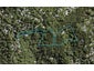 4 Otitori Bay Road, Titirangi, Auckland - Carousel 1