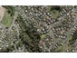 32 Calypso Way, Unsworth Heights, Auckland - Carousel 1