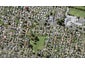 6 Taurima Avenue, Point England, Auckland - Carousel 1