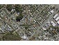 38 Evelyn Place, Hillcrest, Auckland - Carousel 1