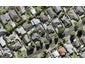 21 Alberta Street, Point Chevalier, Auckland - Carousel 1