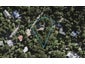 65 Fairview Crescent, Omiha, Waiheke Island - Carousel 1