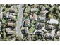 146 Awaruku Road, Torbay, Auckland - Carousel 1