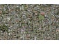 3 Ara Kakaha, Papatoetoe, Auckland - Carousel 1