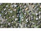 1/9 Stitchbird Close, Murrays Bay, Auckland - Carousel 1