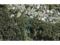 49 Minnehaha Avenue, Titirangi, Auckland - Carousel 1