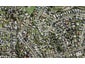 143A Methuen Road, New Windsor, Auckland - Carousel 1