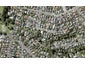 1/79 Edmund Street, St Heliers, Auckland - Carousel 1