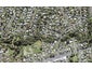 10 Thuja Street, Green Bay, Auckland - Carousel 1