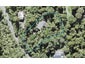 461 Scenic Drive, Waiatarua, Auckland - Carousel 1