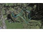 38A Pipitiwai Drive, Kaukapakapa - Carousel 1