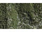 62 Wood Bay Road, Titirangi, Auckland - Carousel 1
