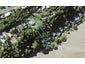 39A Pohutukawa Avenue, Shelly Park, Auckland - Carousel 1