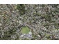 6A Tamahere Drive, Glenfield, Auckland - Carousel 1