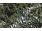 61 Ocean Road, Surfdale, Waiheke Island - Carousel 1