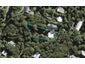 31 Fairview Crescent, Omiha, Waiheke Island - Carousel 1