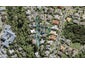 6 Springwater Vale, Unsworth Heights, Auckland - Carousel 1