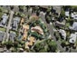 22A Merivale Avenue, Epsom, Auckland - Carousel 1