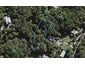 48 Glen Brook Road, Ōmiha, Waiheke Island - Carousel 1