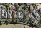 9 Aztec Place, Conifer Grove, Takanini - Carousel 1