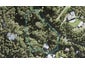 171 Wade River Road, Wade Heads, Whangaparaoa - Carousel 1