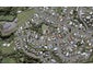 18A Norwich Avenue, Spotswood, New Plymouth - Carousel 1