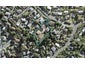 1/30 Carlisle Road, Browns Bay, Auckland - Carousel 1